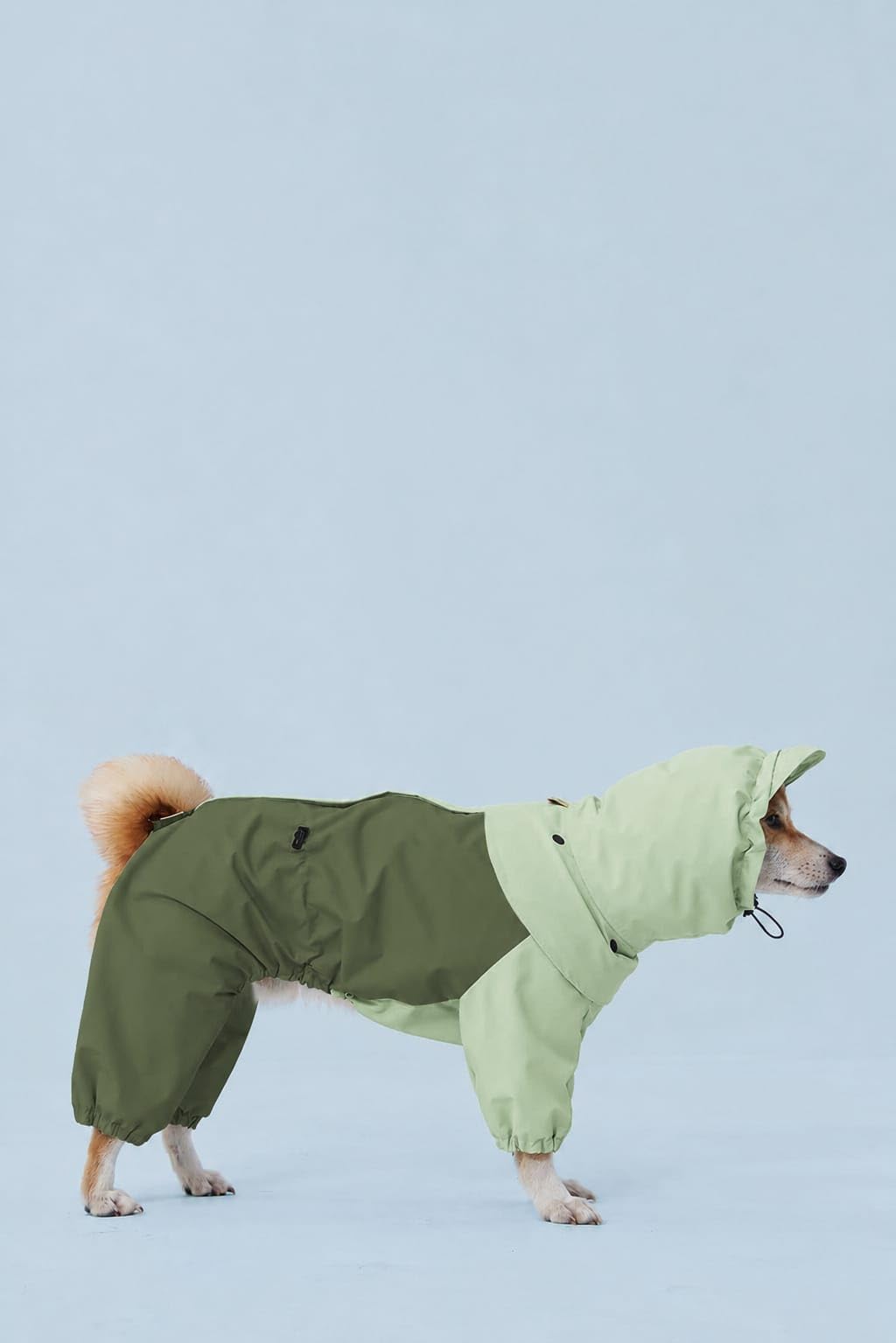 Furry Castel Foxy Full Coverage Waterproof Dog Raincoat | Green