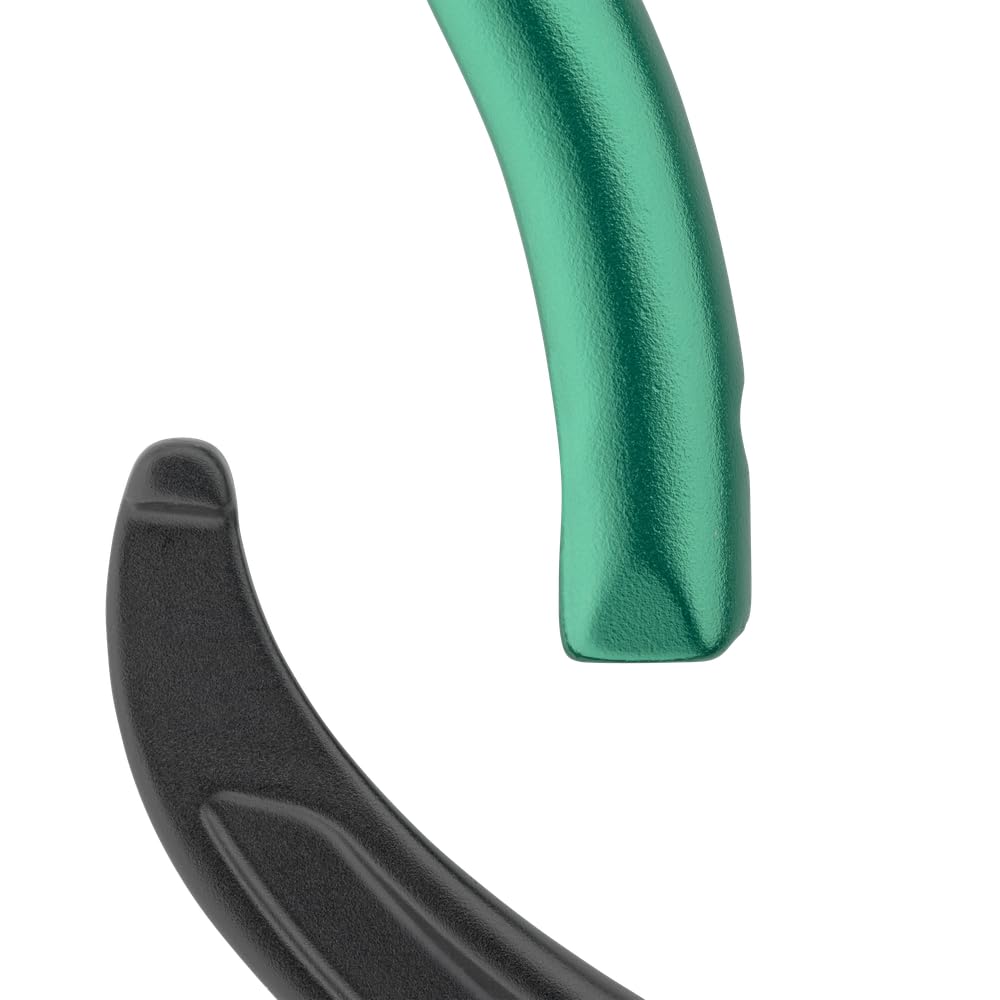 Salewa Ortles Carabiner