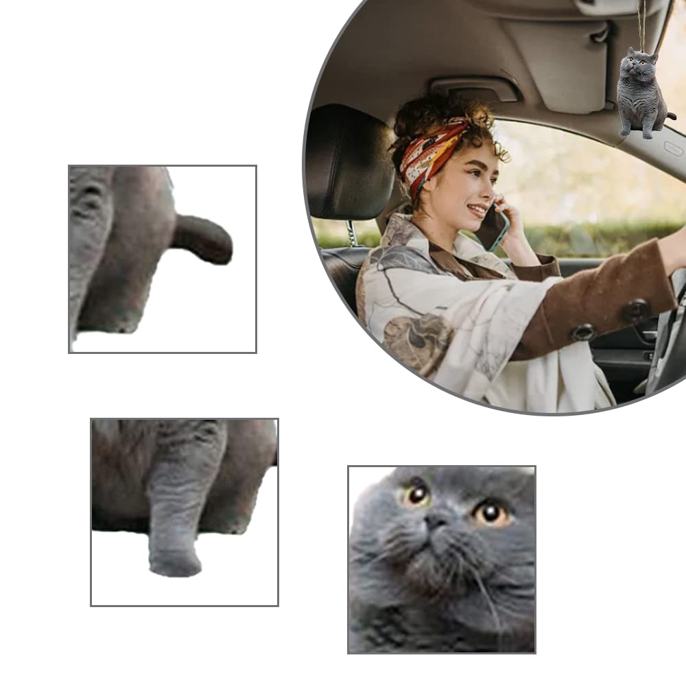 Mooie swingende kat auto hanger, grappige kat
