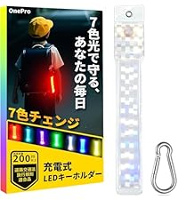 Amazon.co.jp: 【7色チェンジ】LED キーホルダー ライト 充電式 光る