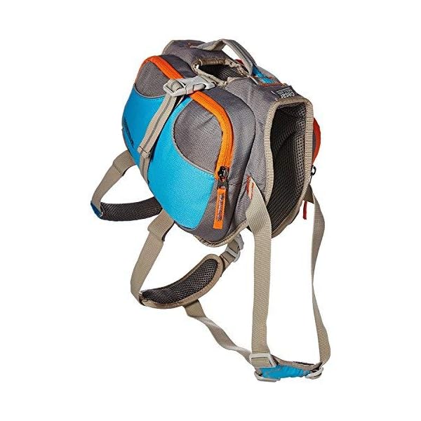 Cesar-Millan-Dog-Backpack-Small Adventure-Ready Cesar Millan Dog Backpack - Small Size for Active Canines