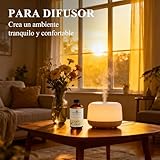 EVOKE OCCU Aceite Esencial de Ylang Ylang 4 Oz, Aceite Puro de...