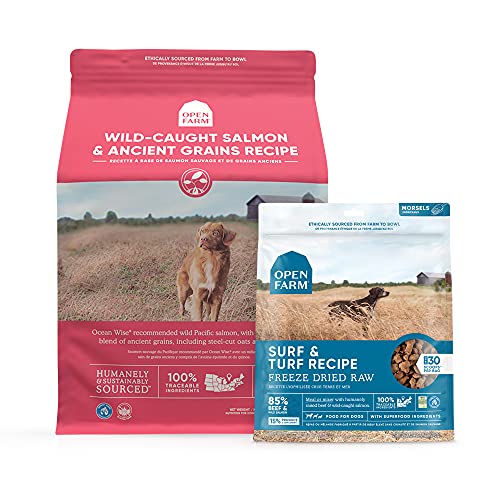 Feast Your Pup on the Best Top 10 Open Farm Salmon Dog Foods Reviewed