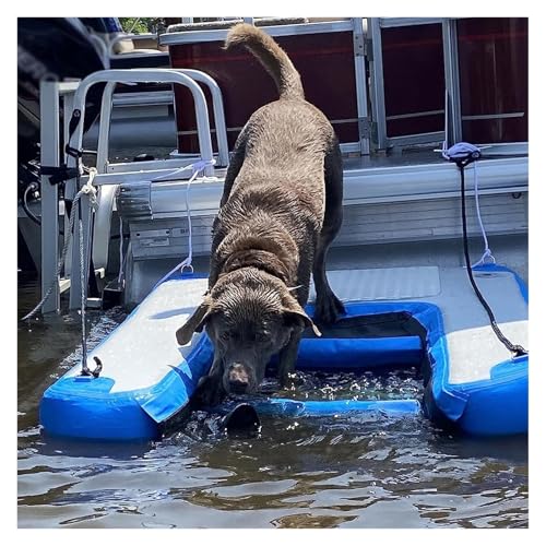 pv[X[v v[̒n⓹A܂݉\ōėp\ȃybguvbgtH[A^/^/^A׏d105kgAC茢pGx[^[xg33 DKiɓKp(Blue)