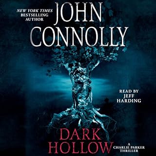 Dark Hollow Audiolibro Por John Connolly arte de portada