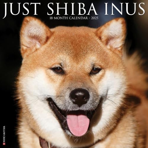 Just Shiba Inus 2025 12" x 12" Wall Calendar