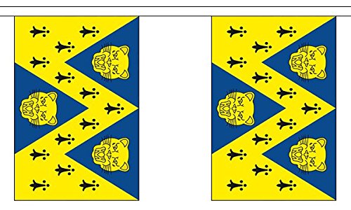 Flagtex Shropshire New Fabric Bunting – 3m with 10 Flags – Premium Indoor & Outdoor Decoration — image 1