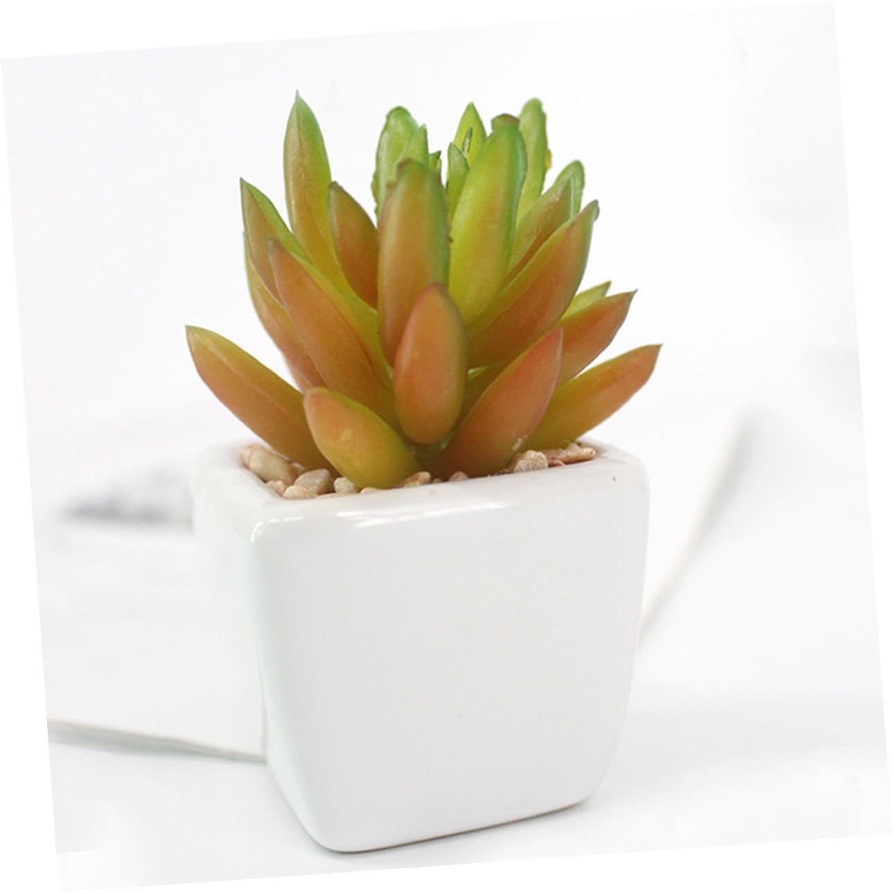 Succulente Artificielle Mini en Pot Céramique Lot de 6 Set de Set de Pièces
