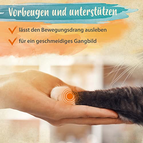 Ida Plus - 100% Grünlippmuschelpulver für Katzen - 100 g - Grünlippmuschel zur Unterstützung der Gelenkfunktion - Vollfettqualität - ohne Zusätze - mit Glykosaminoglykanen, Omega 3, Calcium, Magnesium
