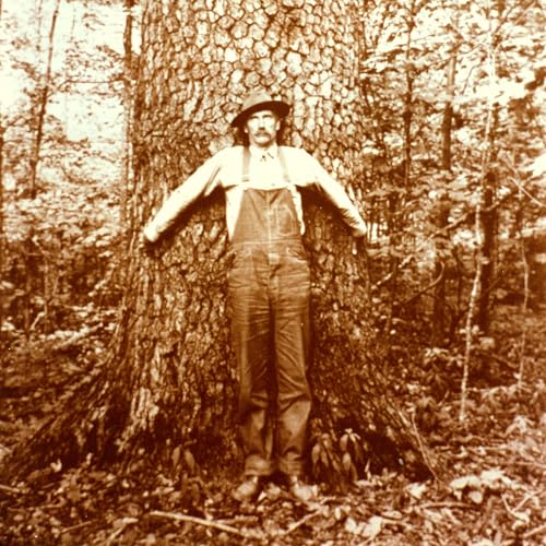 『Andy Mahler Interview - The Creation of Heartwood』のカバーアート