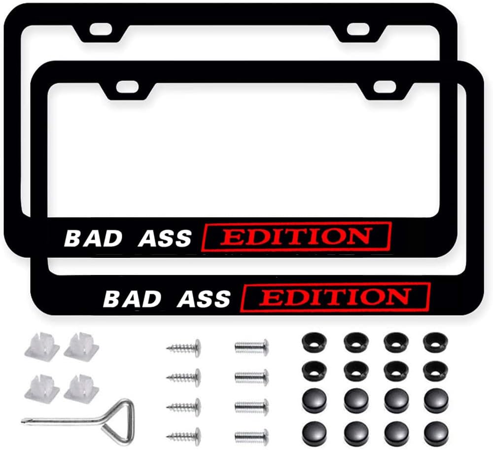 2Packs License Plate Frame Auto Stainless Steel Car Tag Frame with Screws Purple Glass Flower Floral Car Accessories for Women
