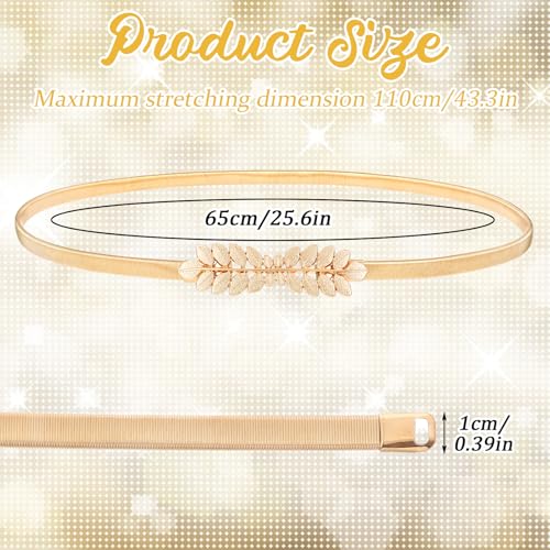 1Pcs Gold Belt, Gold Waist Chain Belt Women Skinny Metal Cinch Belts for Dresses Formal Jeans Shirt Elastic Pendant Chain Belts Body Decor Punk Hip Hop Accessories Birthday Gift for Friends Lover2