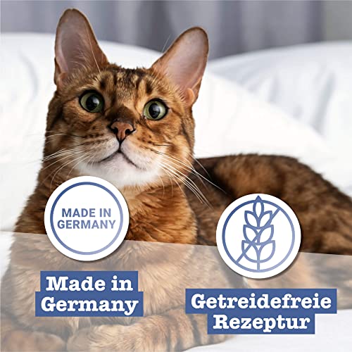 catz finefood N° 17 Geflügel & Garnele Feinkost Katzenfutter nass, verfeinert mit Karotte & Cranberry, 16 x 85g Beutel