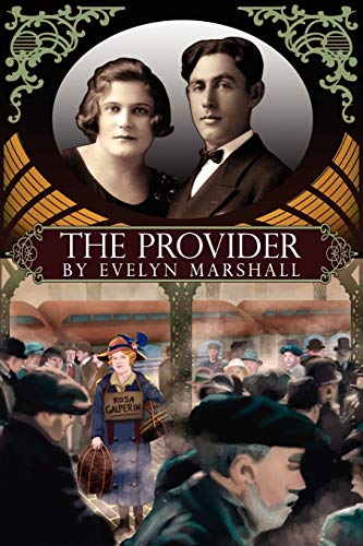 The Provider view 2