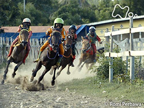 「少年騎手の宿命～インドネシア　島物語～」