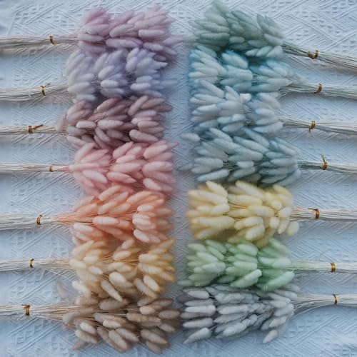 Ramo 50 Pzas Pampas Grass Seco para Decoración Boho miniatura 2