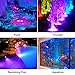 POPOSOAP Solar Pond Lights, RGB LED Pond Lights Waterproof IP68, 2200mAh Battery Underwater Solar Light with Two Modes Options for Pond Fountain Pool Garden Decoration(3 Headlamp)