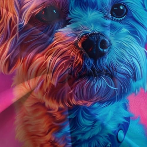 Ensemble de literie Yorkshire Terrier 3D microfibre douce - 7
