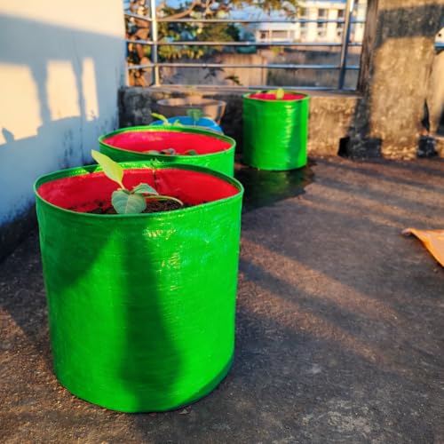 Image of MASHKI HDPE Grow Bags for Home, Terrace & Balcony Gardening - Big Size Vegetable Plant Grow Bags (15x15, 18 inchx18 inch & 24 inchx24 inch - Heavy Duty, UV Stabilized) (5, 12x12 Inches)