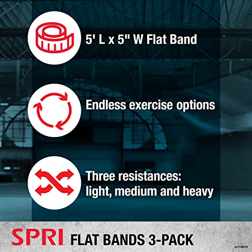 SPRI Flat Bands 3-Pack - Resistance Bands for Strength Training and Flexibility - Light, Medium, and Heavy Options
