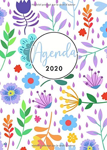 Télécharger Agenda 2020: Agenda de Poche 2020 - 12 Mois Journalier 2020 - Format A5 - Aperçu Hebdomadaire et Me PDF Ebook En Ligne