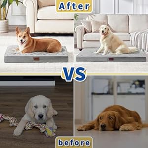 Orthopedic Dog Beds for Large Dogs with Removable Washable Cover Dog Crate Bed for Xxl Xl Large Medium Dogs Velvet Plush Pet Beds Antislip Bottom Sleeping Kennel Pad Mat 42 Inch Grey  Cucciolini Doodles Orthopedic dog beds for large dogs with removable washable cover dog crate bed for xxl xl large medium dogs velvet plush pet beds anti slip bottom sleeping kennel pad mat 42 inch grey   cucciolini doodles