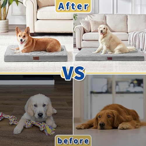 Orthopedic Dog Beds for Large Dogs with Removable Washable Cover Dog Crate Bed for Xxl Xl Large Medium Dogs Velvet Plush Pet Beds Antislip Bottom Sleeping Kennel Pad Mat 42 Inch Grey  Cucciolini Doodles Orthopedic dog beds for large dogs with removable washable cover dog crate bed for xxl xl large medium dogs velvet plush pet beds anti slip bottom sleeping kennel pad mat 42 inch grey   cucciolini doodles