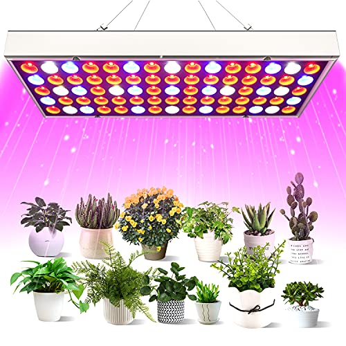 10 Best Budget Grow Lights 2022 Reviews