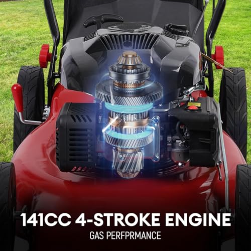 Rodiuiu Gas Lawn Mower - Engine Detail