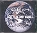 Earth to the Dandy Warhols