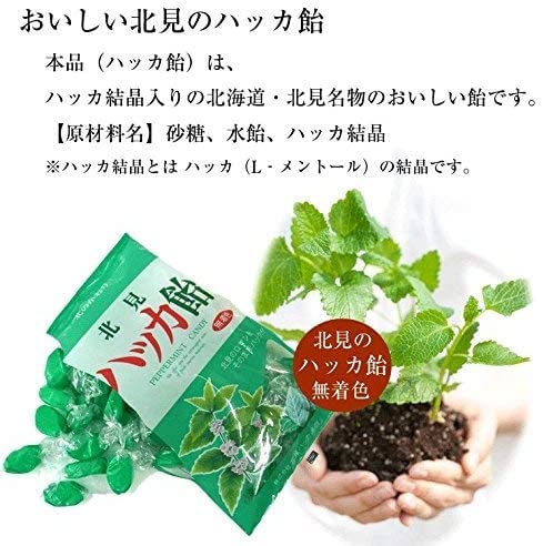 Amazon.co.jp: 北見ハッカ通商 ハッカ飴 240g 1袋 新規格版 ハッカあめ