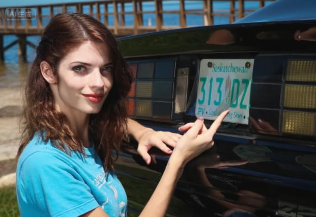 License Plate Privacy Protective Cover, Novel-Tech...