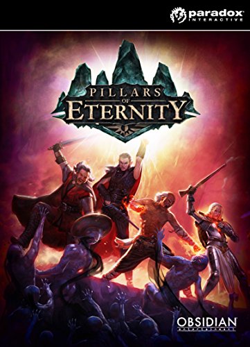 Pillars of Eternity Hero Edition Code Jeu idéal pour vos soirées gaming solo