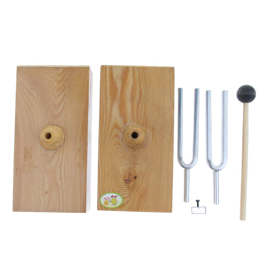 440 Hz Resonanzbox aus Holz mit Stimmgabel, akustisches Werkzeug