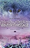 Winter's Passage (The Iron Fey)