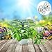 GANAZONO Sunflower Flower Stand 11.02In Lollipop Plant Support Rack Climbing Vine Trellis Durable PPE Material Garden Plant Cage