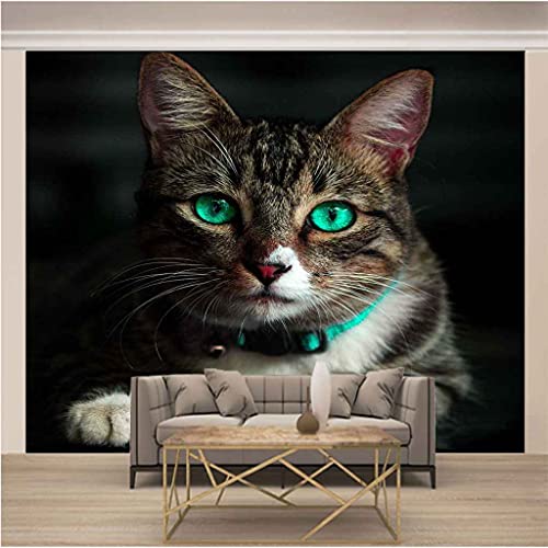 Papier peint panoramique 3D chat pour décorer la chambre de bébé