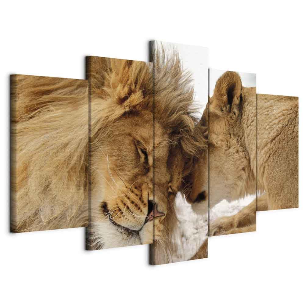 murando - Quadro Animali Leoni 150x75 cm 5 Pezzi Stampa su tela XXL Immagini Moderni Murale Fotografia Grafica Decorazione da parete Quadri Componibili Leone Africa Amore Animale g-B-0034-b-m