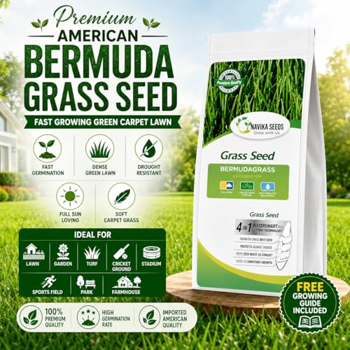 Image of American Bermuda Lawn Grass Seeds for Lawn, Turf, Cricket Ground, Stadium, Park, Farmhouse, Sports Field, Garden Grass, Fast Growing, Gardening Seeds | Free Growing Guide | (1 Kg Bermuda Grass Seeds)