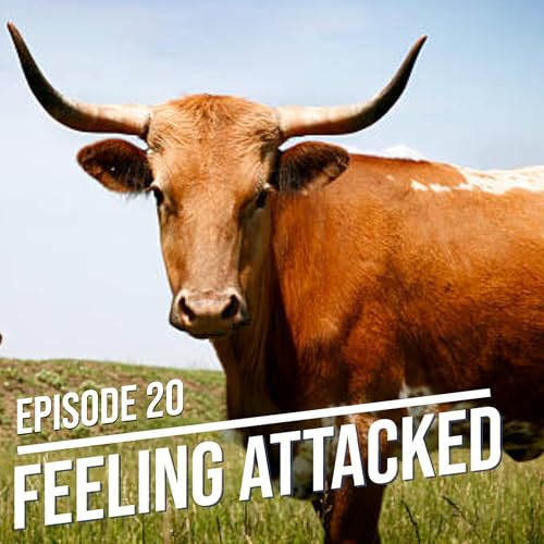 Episode 20 - Feeling Attacked - Boundaries, Bullying, and the Courage to Change Old Patterns