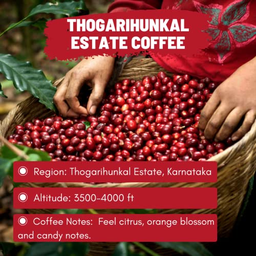 Image of Thogarihunkal Estate Coffee | Toffee Coffee Roasters | Single Origin Coffee | 100% Arabica | Medium Roast | Grounded Coffee Notes: Citrus and Orange Blossom (Decoction Coffee Maker, 500)
