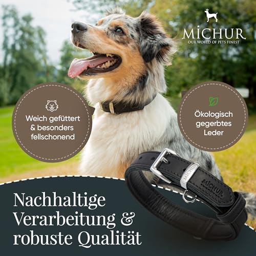 Michur Minimo Schwarz Hundehalsband Leder, Lederhalsband Hund, Halsband, Leder, in verschiedenen Größen erhältlich