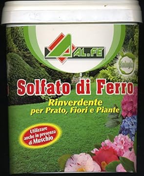 ZAPI Solfato di Ferro Rinverdente e Antimuschio per Prato, Fiori e Piante da 5 kg