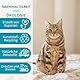 EOS (1 Liter) Biodor Animal Geruchsentferner sofort. Clean Urin für Haustieren (Hunde, Katzen, etc.) und Wohnung Anwendungen (Sofa, Katzenklo, Teppich, Auto, etc.) Geruchsentferner Katze