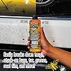 Chemical Guys Bug and Tar Remover Fast Acting Car Wash - Heavy Duty Cleaner for Bugs, Tar, Grime, Tree Sap & Bird Droppings - Safe for Car Paint, Glass, Chrome, Plastic, All Exterior Surfaces - 16 oz