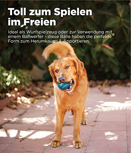 Outward Hound Squeaker Ballz - Hundespielzeug zum Apportieren - Größe S - 4er-Pack