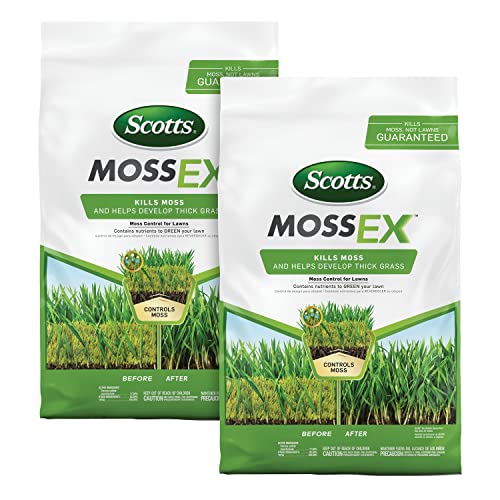 Best Lawn Moss Killer and Feed Transform Your Yard Without Hassle