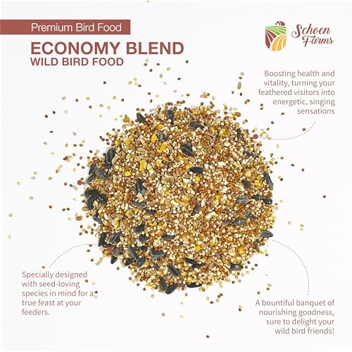 Schoen Farms Economy Blend Wild Bird Seed – 3.18 kg Bag – Budget-Friendly Seed Mix for Cardinals, Finches & Sparrows – Grown in Canada - Image 4