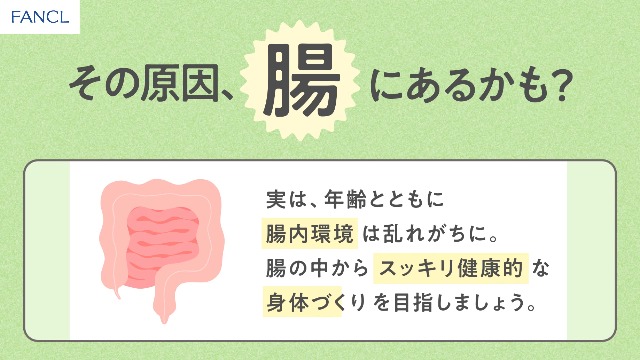 ファンケル(FANCL) 内脂サポート 90日分 (30日分×3袋) 機能性表示食品