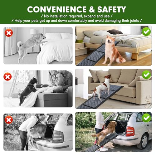 Duckygoo Rampa extra longa para carros de cães grandes de 67 